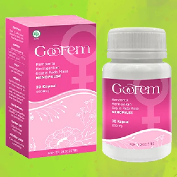 GOOFEM