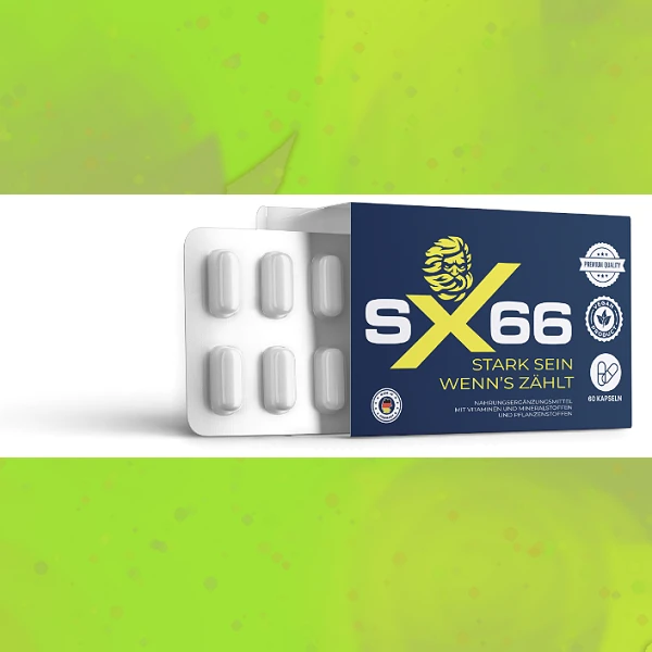 SX 66